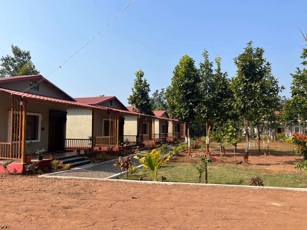 Luxury resort pool with palm trees at sunset